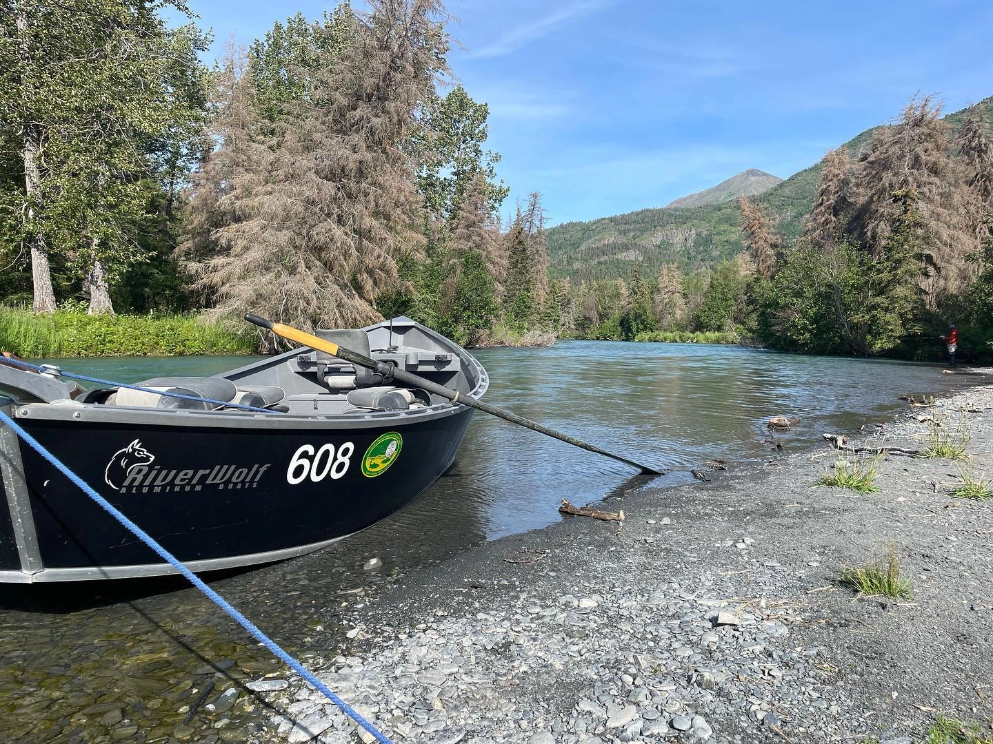 Kenai Catch